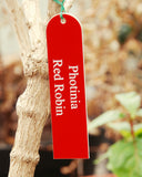 Engraved shrub labels 